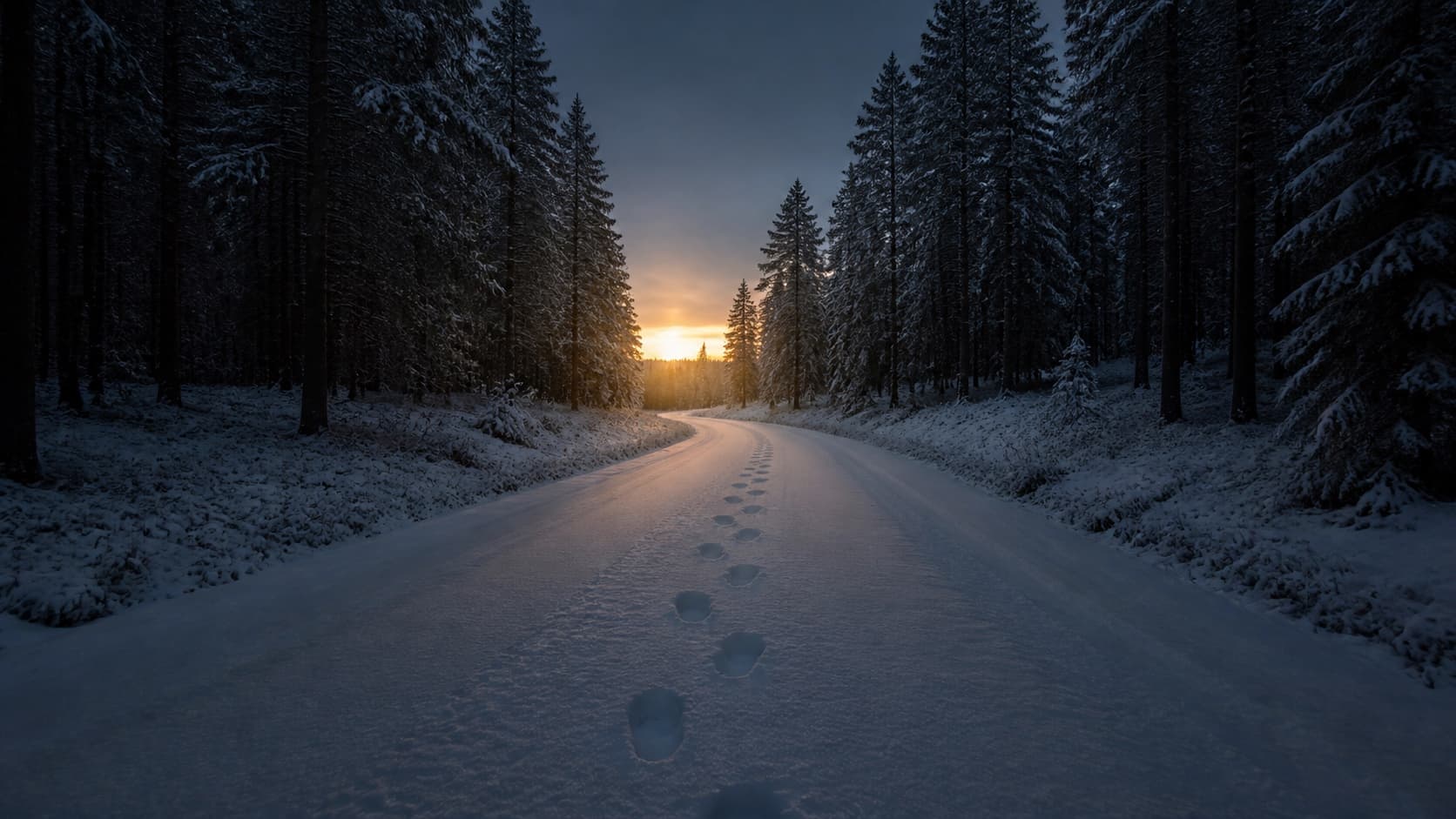 一条穿过深色雪林的道路与脚印延伸向远处的晨光